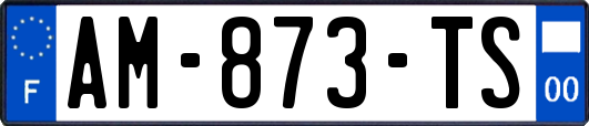 AM-873-TS