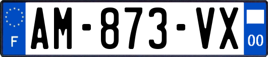 AM-873-VX