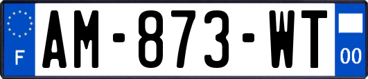 AM-873-WT