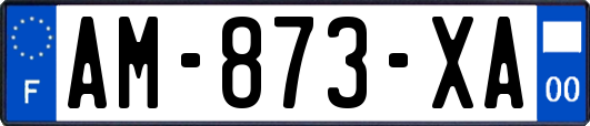 AM-873-XA