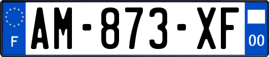 AM-873-XF