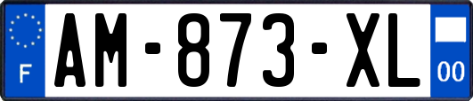 AM-873-XL