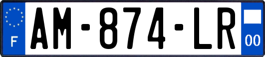 AM-874-LR