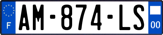 AM-874-LS