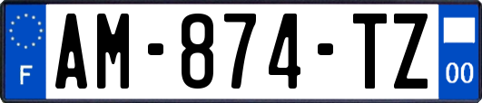 AM-874-TZ