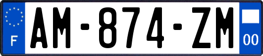 AM-874-ZM