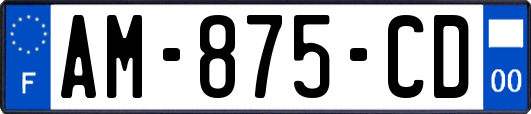 AM-875-CD