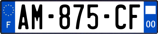 AM-875-CF