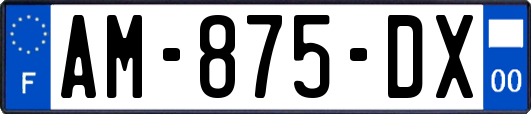 AM-875-DX