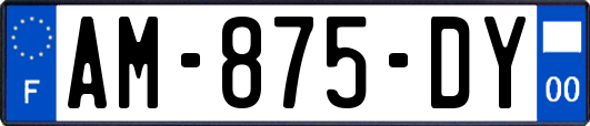 AM-875-DY