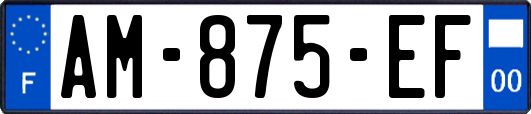 AM-875-EF