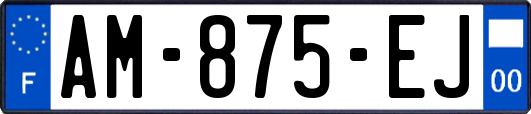 AM-875-EJ