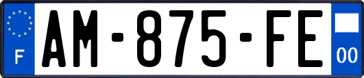 AM-875-FE