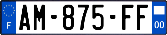 AM-875-FF