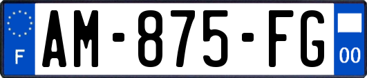 AM-875-FG