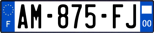 AM-875-FJ