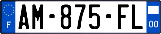 AM-875-FL