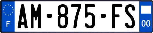 AM-875-FS