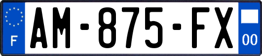 AM-875-FX
