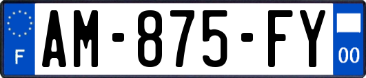 AM-875-FY