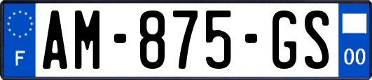 AM-875-GS