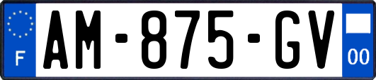 AM-875-GV