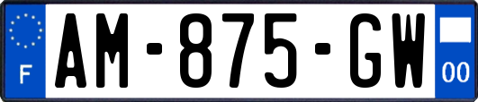 AM-875-GW