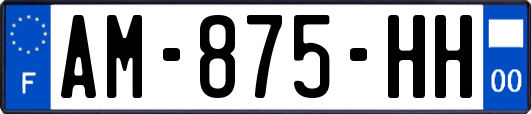 AM-875-HH