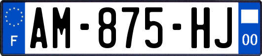 AM-875-HJ