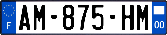 AM-875-HM