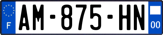 AM-875-HN