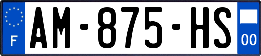 AM-875-HS