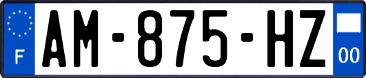 AM-875-HZ