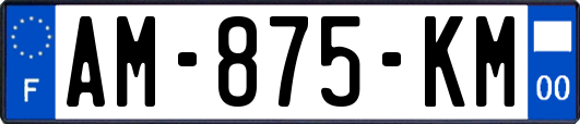 AM-875-KM