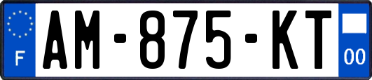 AM-875-KT