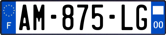 AM-875-LG