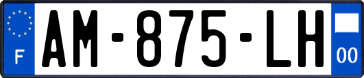 AM-875-LH