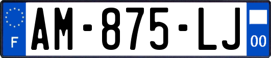AM-875-LJ