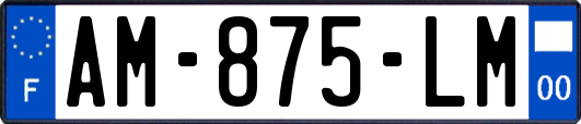 AM-875-LM