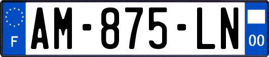 AM-875-LN