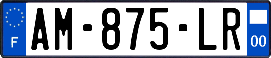 AM-875-LR