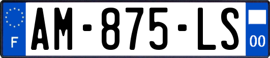 AM-875-LS