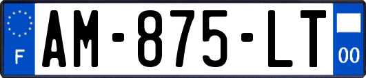 AM-875-LT