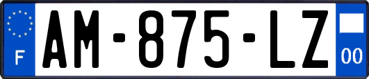 AM-875-LZ