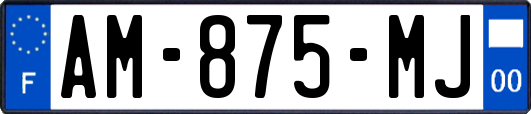 AM-875-MJ
