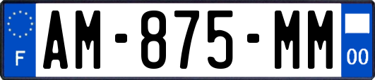 AM-875-MM