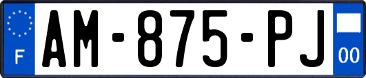 AM-875-PJ