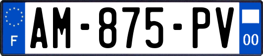 AM-875-PV