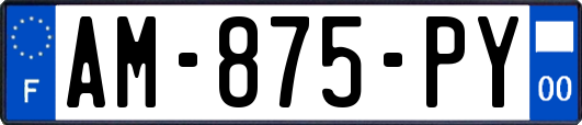 AM-875-PY