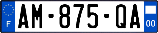 AM-875-QA